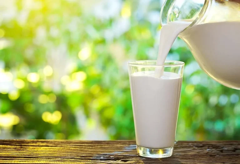 The Essential Role of Milk in a Balanced Diet