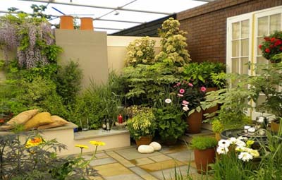 Rooftop Gardens: A Blossoming Trend Transforming Urban Spaces