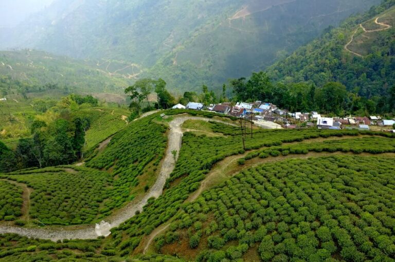 Darjeeling: A Himalayan Gem
