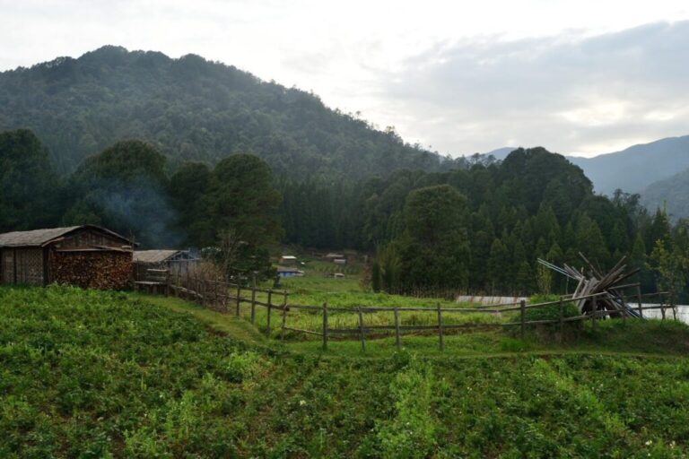 Samanden: A Hidden Gem in the Darjeeling Hills