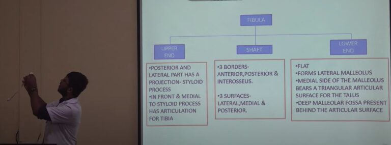 Fibula Bone Anatomy: A Comprehensive Guide – Medical Lecture by Dr. Pritam Dey at Tripura Santiniketan Medical College