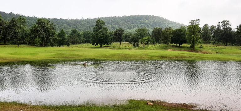 Ketki Lake: A Serene Retreat in West Bengal