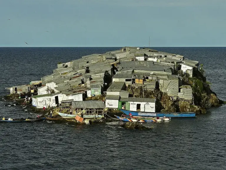 Migingo Island: The Most Densely Populated Island on Earth