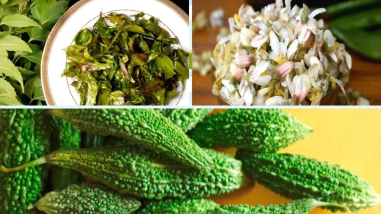 Why Bitter Foods Are Essential in Spring? A Health Perspective