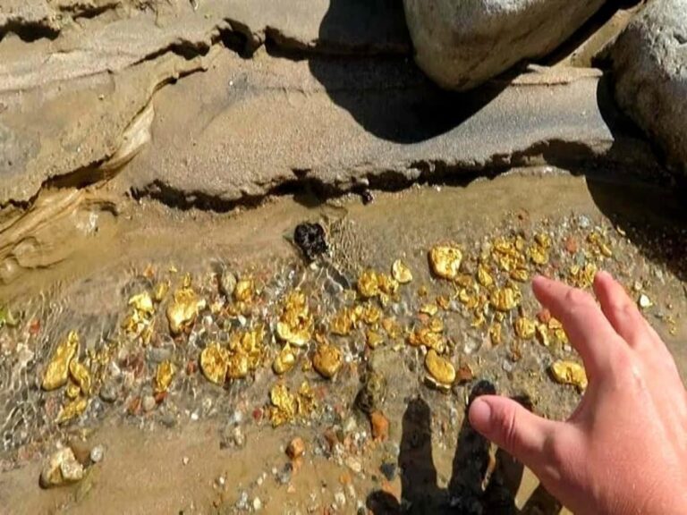 Odisha’s Golden Awakening: A New El Dorado Emerges