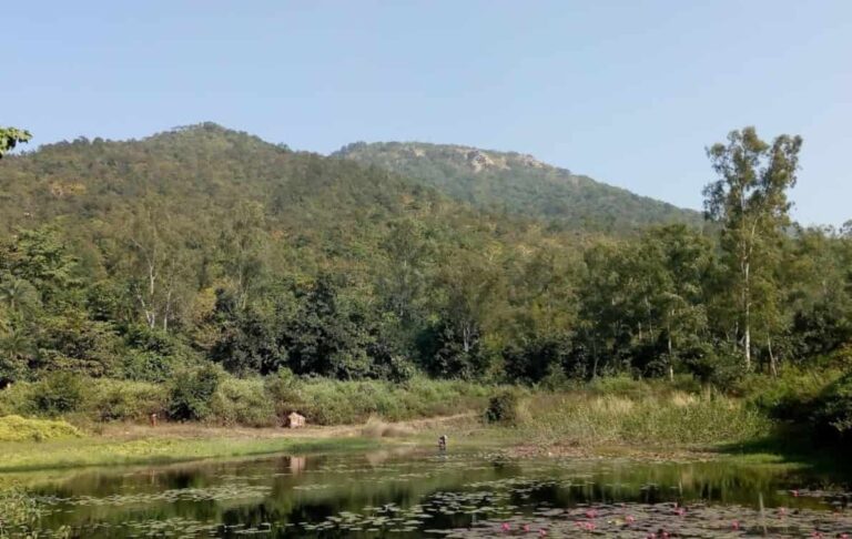 Unveiling Susunia: A Summer Escape to Nature’s Embrace in Bankura