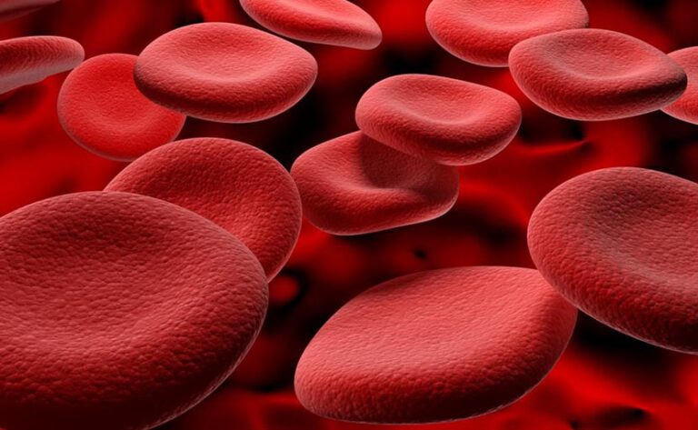 “A Universal Blood Breakthrough: Japan’s Lab-Made Blood Cells Promise Hope Beyond Blood Types”