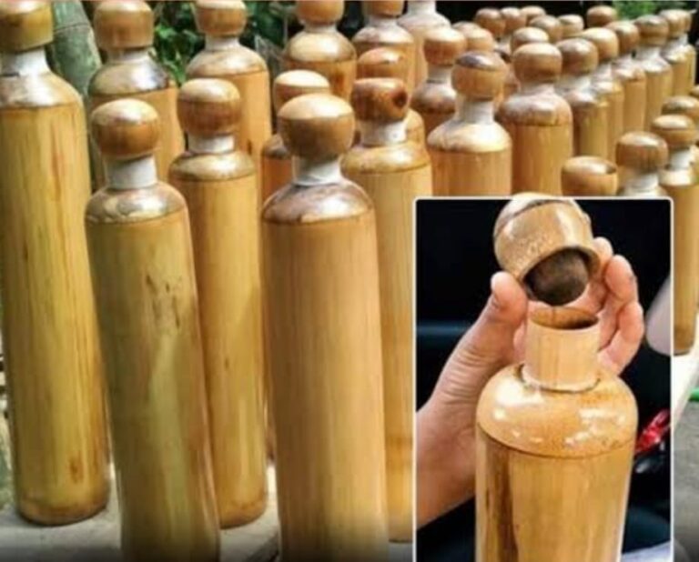 Sikkim Paves the Way: Bamboo Bottles Replace Plastic in a Green Revolution