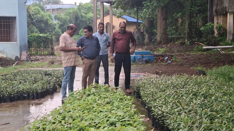 Asansol’s Namesake Tree Makes a Comeback Thanks to BB College