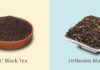 CTC Tea vs. Leaf Tea: Which One Should You Choose for Your Health?