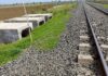 India’s First Wildlife-Exclusive Railway Underpass Built to Protect Asiatic Lions